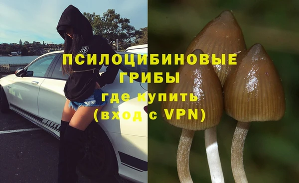 кокс Арсеньев