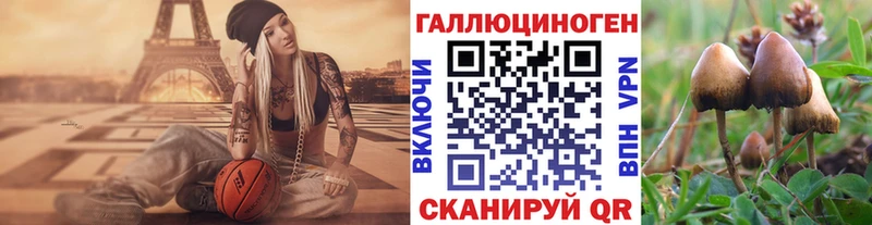 Псилоцибиновые грибы Psilocybine cubensis Купить где Апшеронск